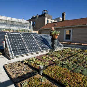 Berkeley Bay Ecological Design
