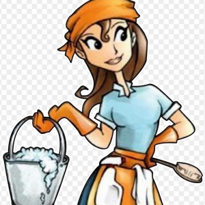 Nashville Bri's Cleaning Company