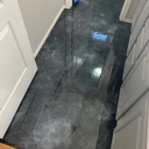 Photo of American Standard Painting