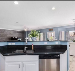Photo of American Standard Painting