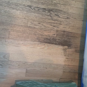 Photo of Flaherty Floors