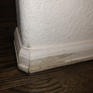 Photo of Professional Flooring Solutions