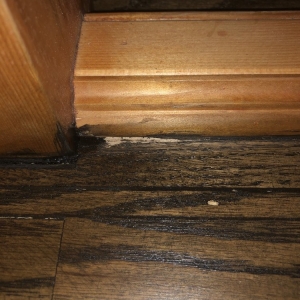 Photo of Professional Flooring Solutions