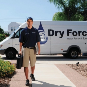 Photo of Dry Force Water Removal Specialists