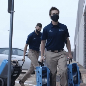 Photo of Dry Force Water Removal Specialists