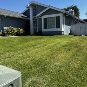 Photo of Bello’s Landscaping