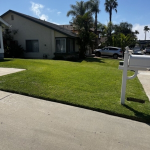 Photo of Bello’s Landscaping