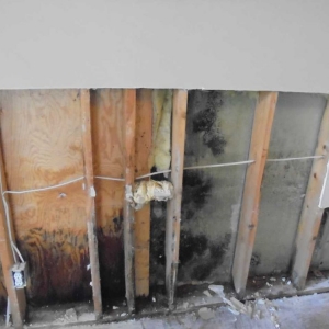 Photo of Flood Brothers Restoration