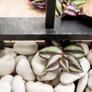 Photo of Himsben Design Studio