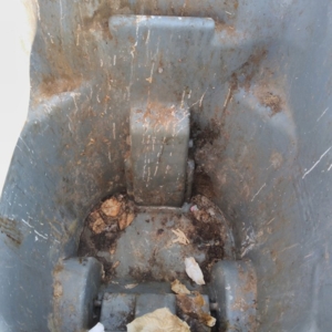 Photo of Bin Sanitized