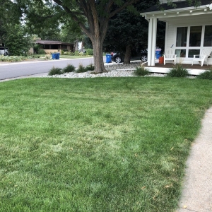 Photo of TruGreen Lawn Care