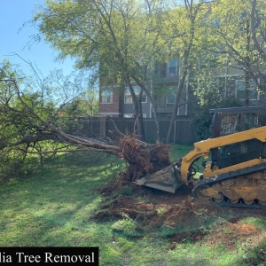 Photo of Rustic Excavation