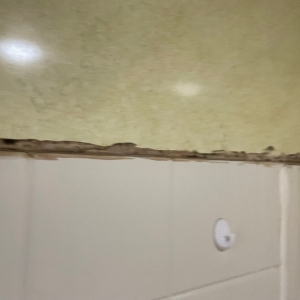 Photo of Peaceful Property Management
