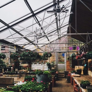 Photo of Bloomington Garden Center & Landscape Company