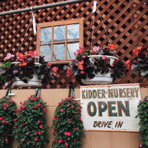 Photo of Bloomington Garden Center & Landscape Company