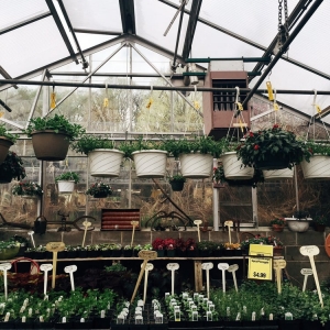 Photo of Bloomington Garden Center & Landscape Company