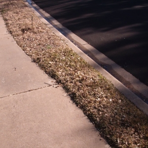 Photo of Austinscapes