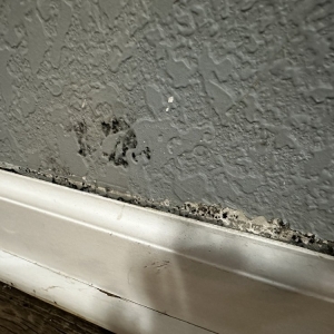 Photo of One Stop Property Management