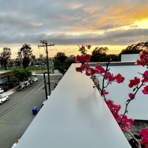 Photo of Altek Metal Roofing