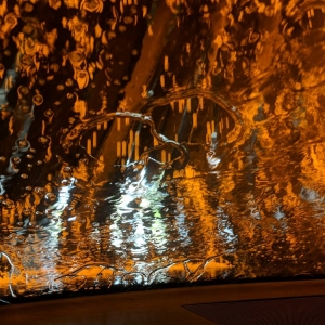 Photo of El Car Wash - Bird