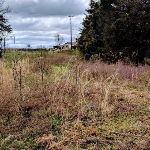 Bessemer City Thomas Lawn & Landscaping