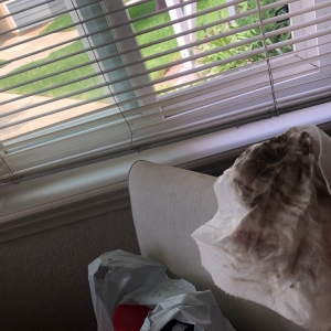 Photo of Munoz Cleaning & Services