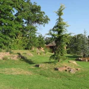 Photo of Edmond Landscapes