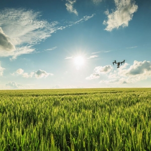 Photo of Skydown Aerial Services