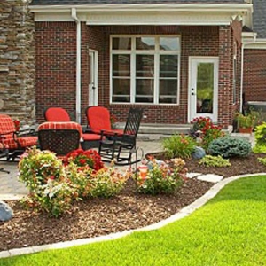Photo of Reliable Tree Care and Removal