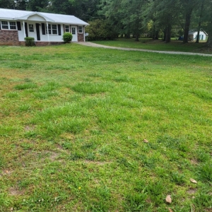Photo of A Cut Above Lawn Care & Landscape