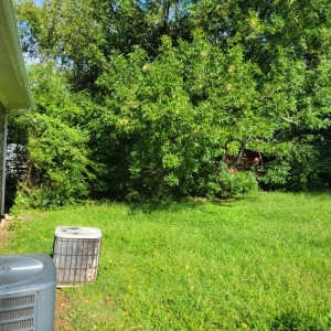 Photo of A Cut Above Lawn Care & Landscape