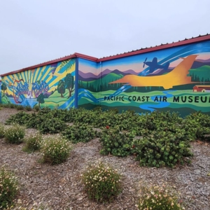 Photo of Mural Decor