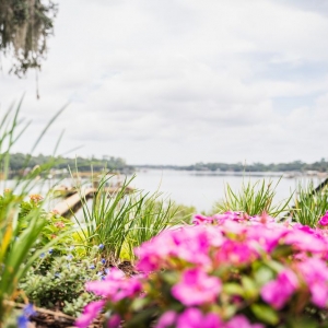 Photo of Jacksonville Concrete Pavers