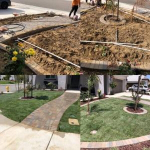 Photo of Clean Up Maintenance and Landscape Service