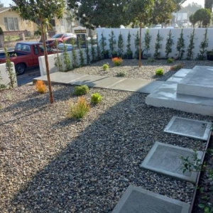 Photo of Clean Up Maintenance and Landscape Service