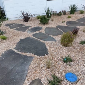 Photo of Clean Up Maintenance and Landscape Service