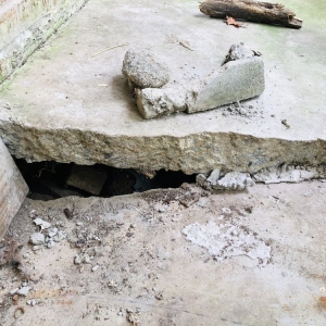 Photo of US Pro Engineer - Structural Inspections