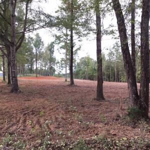 Photo of Harris Excavating