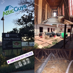 Photo of Attic Guys