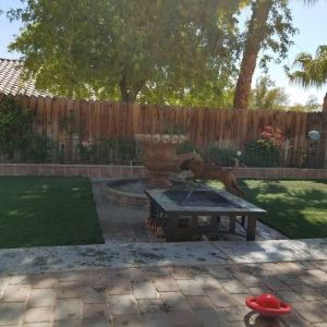 Las Vegas R & P Artificial Grass & Design