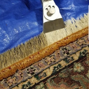 Fayetteville Blue Jay Carpet Cleaning