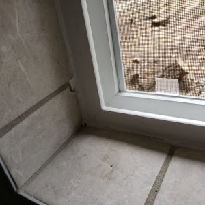 Colorado Springs Windows For Less