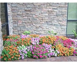 Photo of Duax Snow Removal and Lawn Care