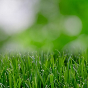 Photo of Rainmakers Lawn Care & Landscapes