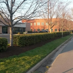 Photo of Rainmakers Lawn Care & Landscapes