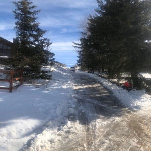 Photo of Park City Landscaping