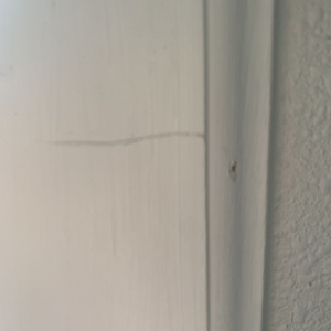 Photo of Southern Roofing & Insulating