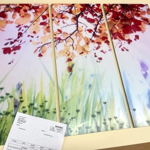 Photo of Color 1 Photo