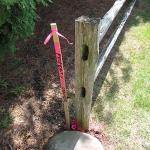 Photo of North Shore Engineering