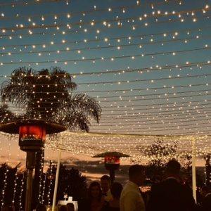 Photo of San Diego SociaLights